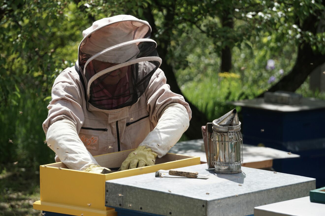 Learn About Beekeeping - 6 Interesting Factors