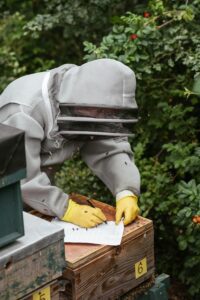 beekeeping