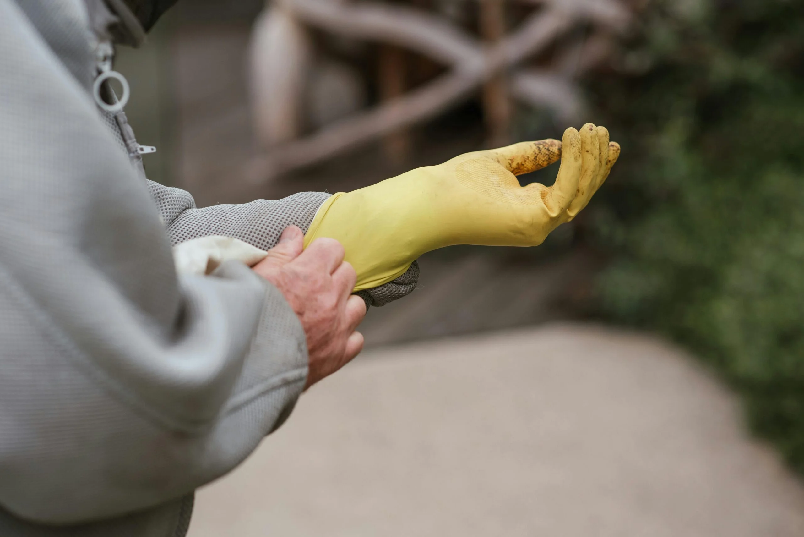 beekeeping beekeeper gloves