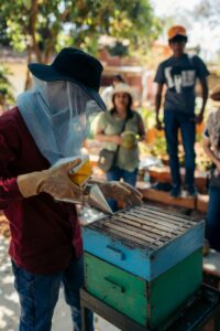 Read more about the article A Beekeeper’s Guide to Mastering the Hive Smoker: 8 Tips for Effective Beekeeping