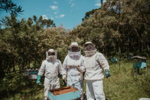 Read more about the article Choosing the Right Beekeeping Suit: Exploring 4 Types for Safety and Comfort