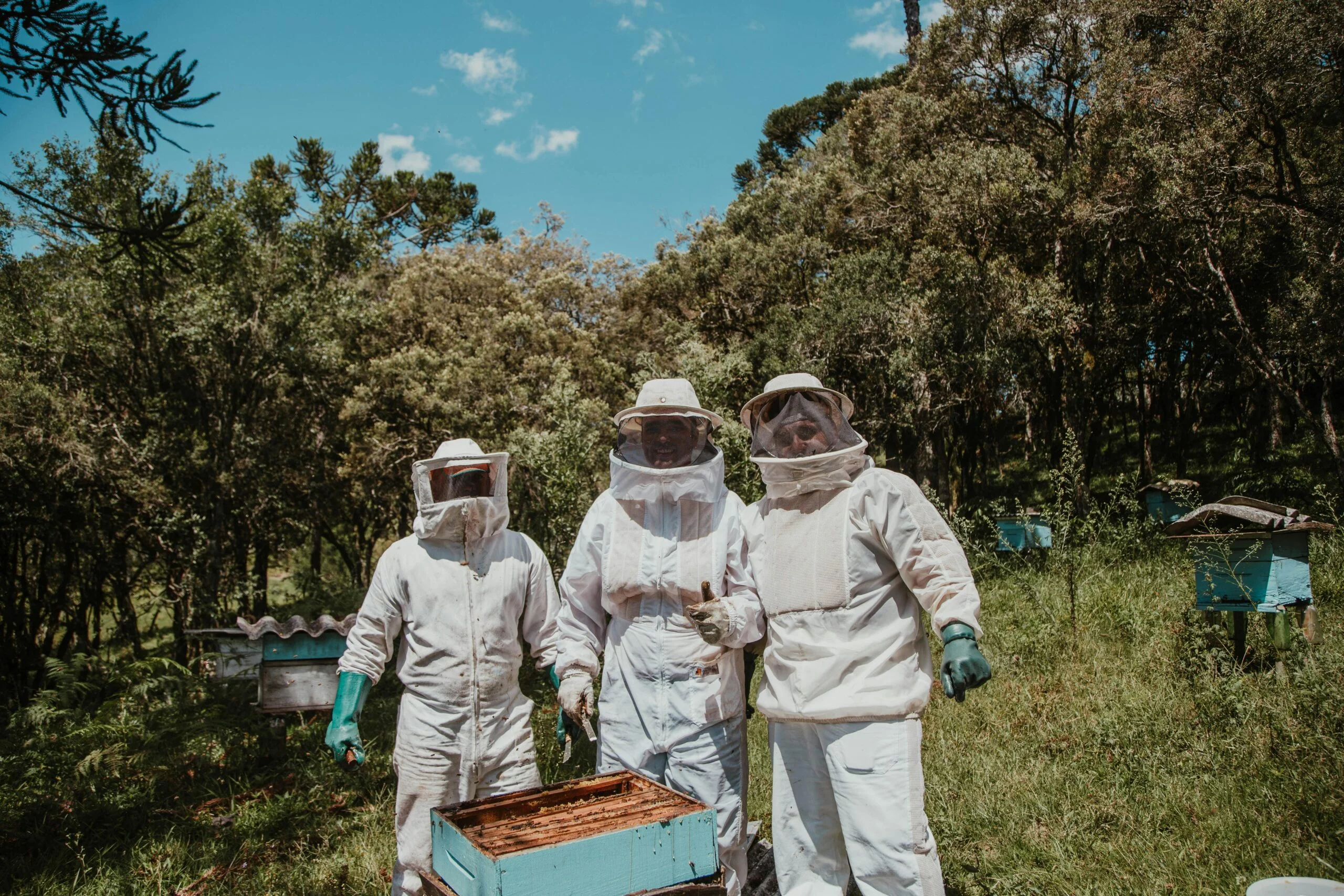 beekeeping suits