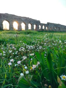 Read more about the article Unbelievable History of Beekeeping: 4,500 Years of Beekeeping