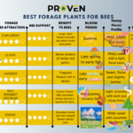 The 19 Best Forage Plants for Bees: A Comprehensive Guide