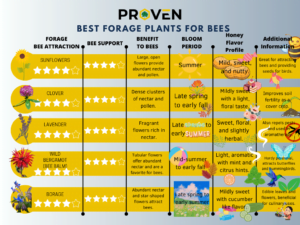 Read more about the article The 19 Best Forage Plants for Bees: A Comprehensive Guide