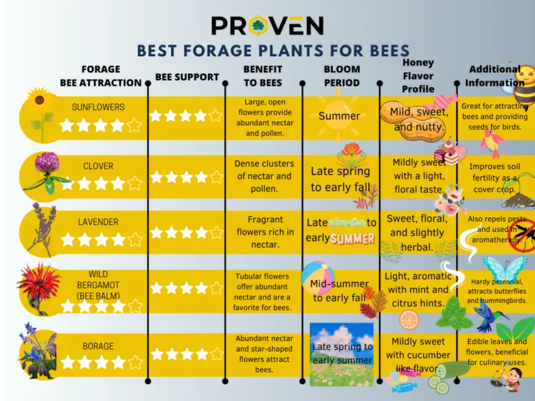 Best Forage Plants For Bees