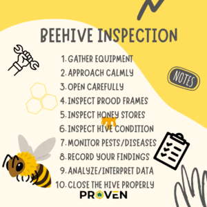 Read more about the article A Successful Beehive Inspection: 10 Proven Steps
