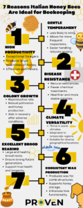 Read more about the article Italian Honey Bees – 7 Bountiful Reasons to Choose Them