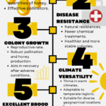 Italian Honey Bees – 7 Bountiful Reasons to Choose Them