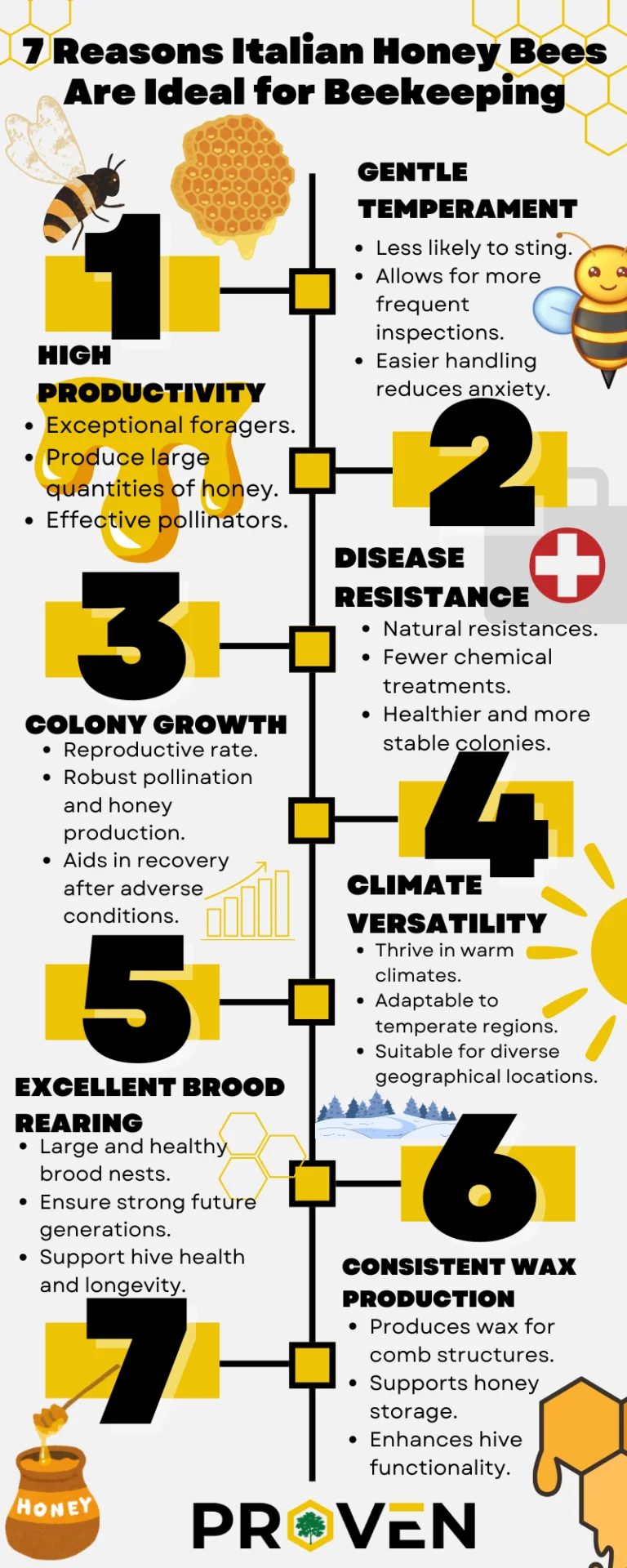 Italian Honey Bees