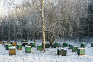 Read more about the article Winter Bee Hive Wraps: 6 Step Beginner Guide to Protect Bees