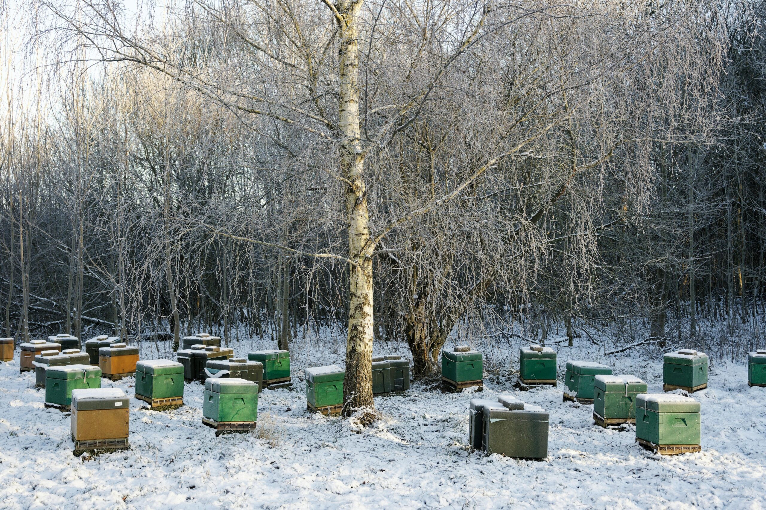 Winter Bee Hive Wraps