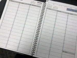 Read more about the article 12-Month Beekeeping Schedule: Essential Roadmap to Success