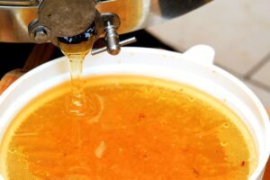 Read more about the article The Perfect Honey Extractor – 8 Expert Tips for Beekeepers