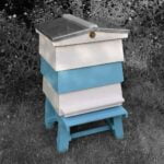 Mastering the Langstroth Hive – 12 Proven Tips