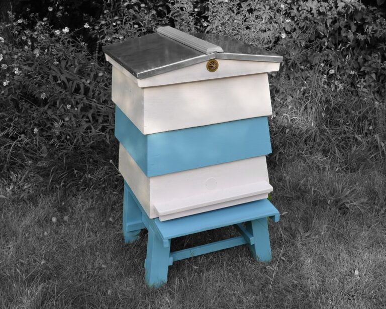 Langstroth Hive