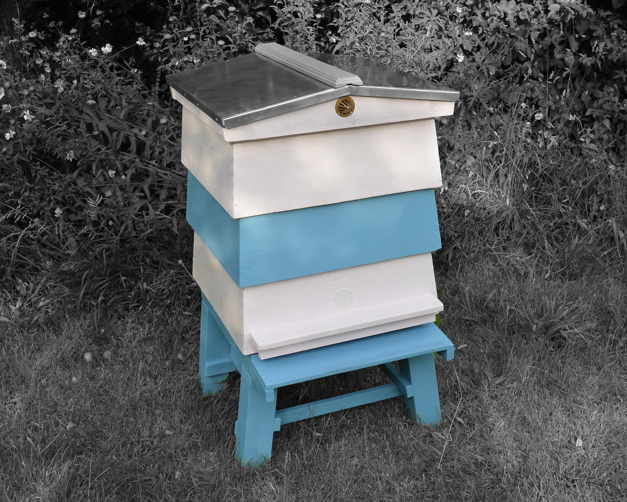 Langstroth Hive